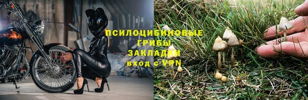 2c-b Богданович