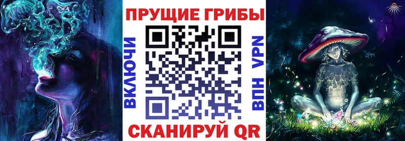 Псилоцибиновые грибы GOLDEN TEACHER Вуктыл